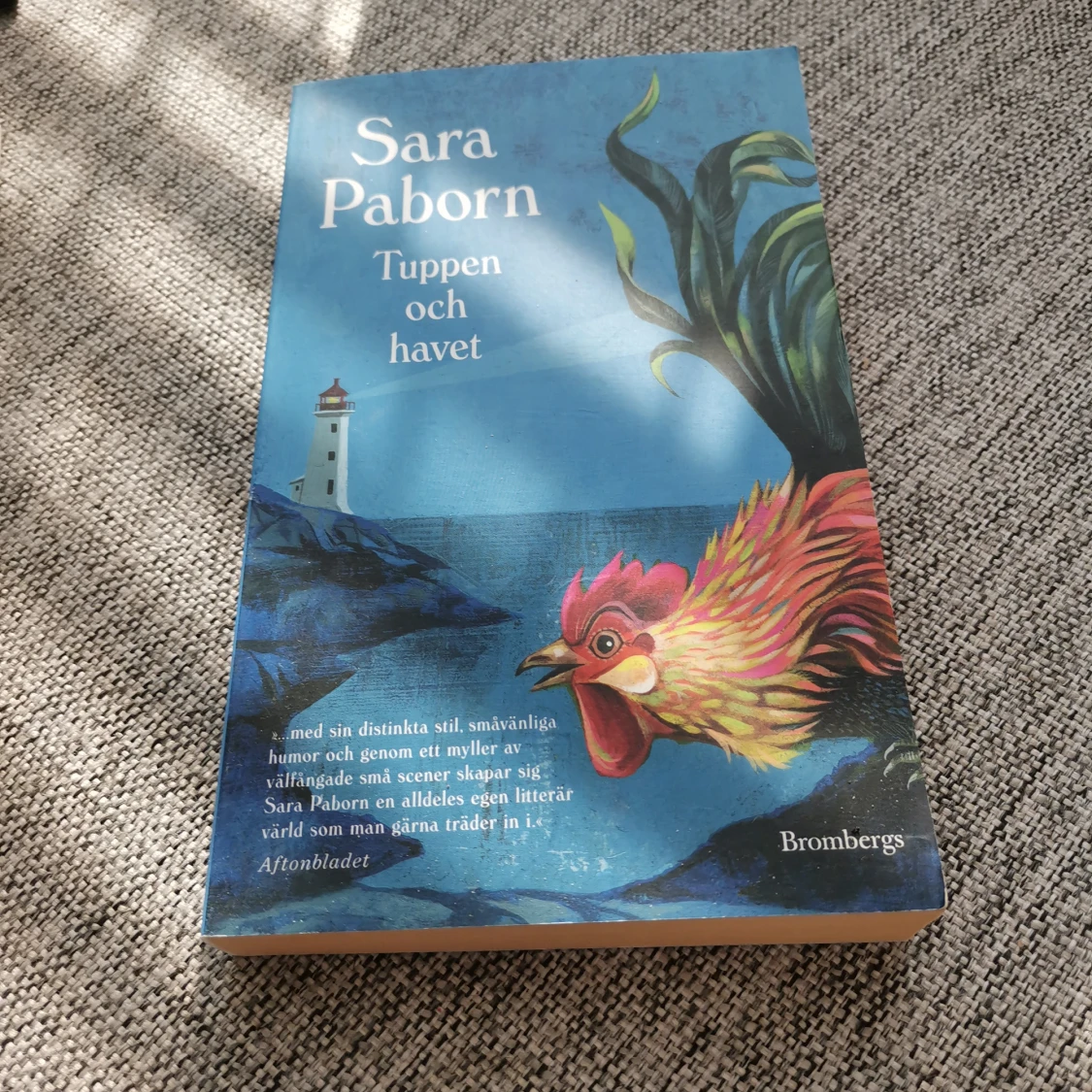 En bok me. Sara paborn 