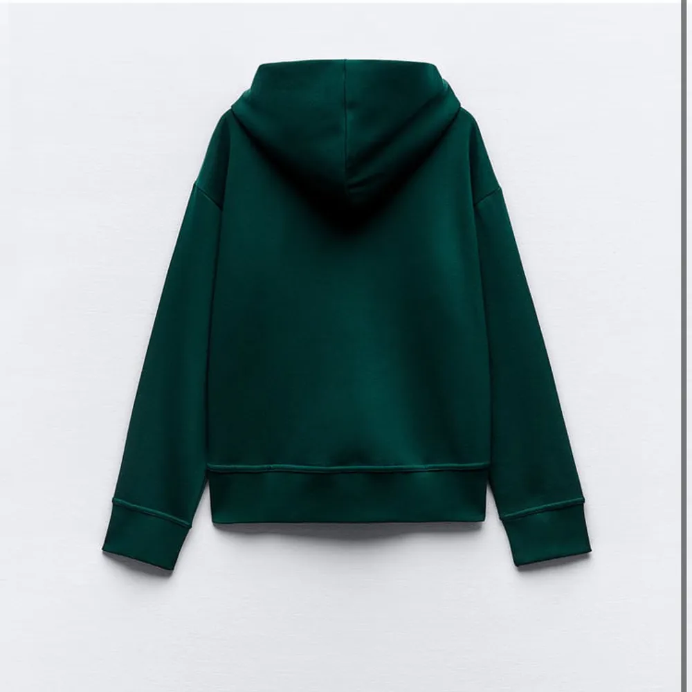 Säljer denna hoodie från zara🤩 fint skick!!. Hoodies.