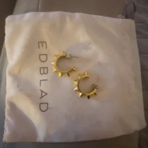 Guld örhänge  - Guld örhängen från Edblad, säljer pågrund av att de inte kommer till användning, använd ca 2-3 gånger Men de är rengjorda och klara för att säljas. 