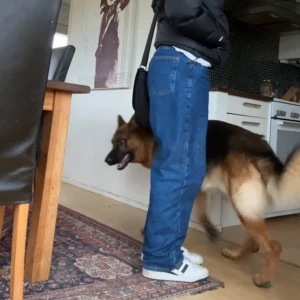 Sweet Sktbs Jeans - Mörkblå jeans från Junkyard, Storlek S. Köpta för mindre än ett år sen och knappt använda, inga anmärkningar på dem. Ordinarie Pris 700kr. Säljer för 400 inklusive frakt