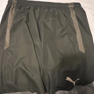 Puma shorts  - Puma shorts  Funkar till basket, handeboll etc