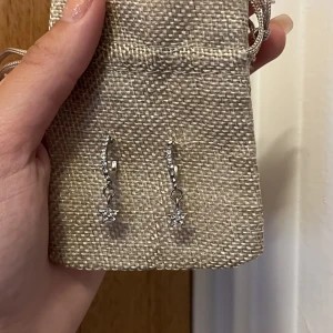 Örhängen  - Stjärniga örhängen ⭐️ Frakt 15kr