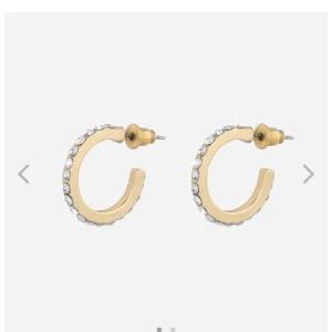 Örhängen  - Aldrig använda Kan skickas men då tillkommer fraktavgift🎀