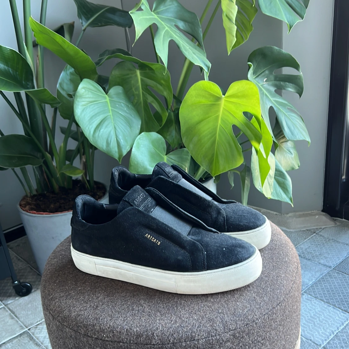 Clean 360 Laceless Arigato Skor