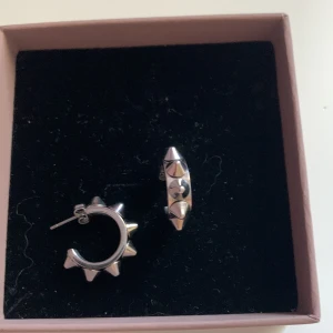 Edblads örhängen  - Säljer även dessa örhängen i silver, kommer inte till användning som är orsaken till försäljning😊💕