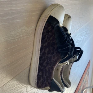 Zadig skor  - Ett  par Zadig Voltaire skor 