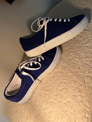 Herr skor  - Blå yourturn  Nypris 1399 Säljer för 599  Vita air jordans storlek 42 Nypris 3399 Säljes för 1200  Gröna eytys  Nypris 1700 Säljes för 700