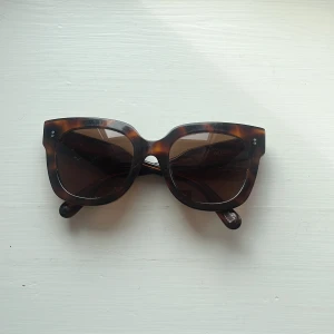 CHIMI Eyewear solglasögon 08 - Model: 08 brown 