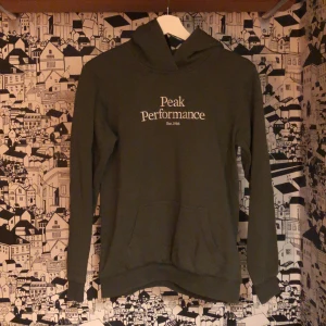 PEAK PERFORMANCE HOODIE - Peak performance hoodie I bra skick
