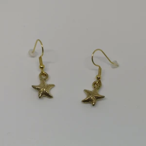 Örhängen ~sjöstjärna~ - Örhängen gjorda/designade av mig. De är nya/oanvända. Krokar i rostfritt stål. (frakt: 15 kr för frimärke) 