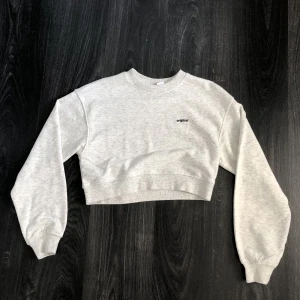 Grå Hoodie  - En fin tröja i bra skick använd någon enstaka gång, köpt från hm.