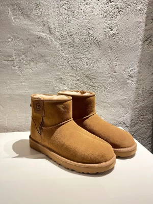 UGG mini chestnut - Säljer helt nya samt oanvända Ugg chestnut mini. Kontakta mig gärna vid frågor om skorna! Diskutera pris är jag öppen för.  Skick: 10/10