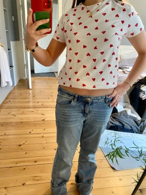 Vit t-shirt med hjärtan - Säljer en vit -shirt med hjärtan på från zara. T-shirten har andvänds ett få antal gånger och är i bra skick. Storleken är 164
