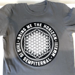 T-shirt - Säljer mig bring me the horizon tröja då jag inte andvänd den på väldigt länge, köpte den på chock