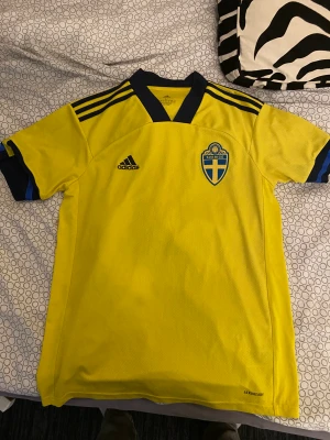  landslagströja 2022 ibrahimovic - Large Gott skick