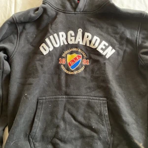 Djurgården  - Säljer en djurgårds hoodie💗 den är i bra skick den ser bara lite hårig ut på bilden men det har jag nu tagit bort🥰