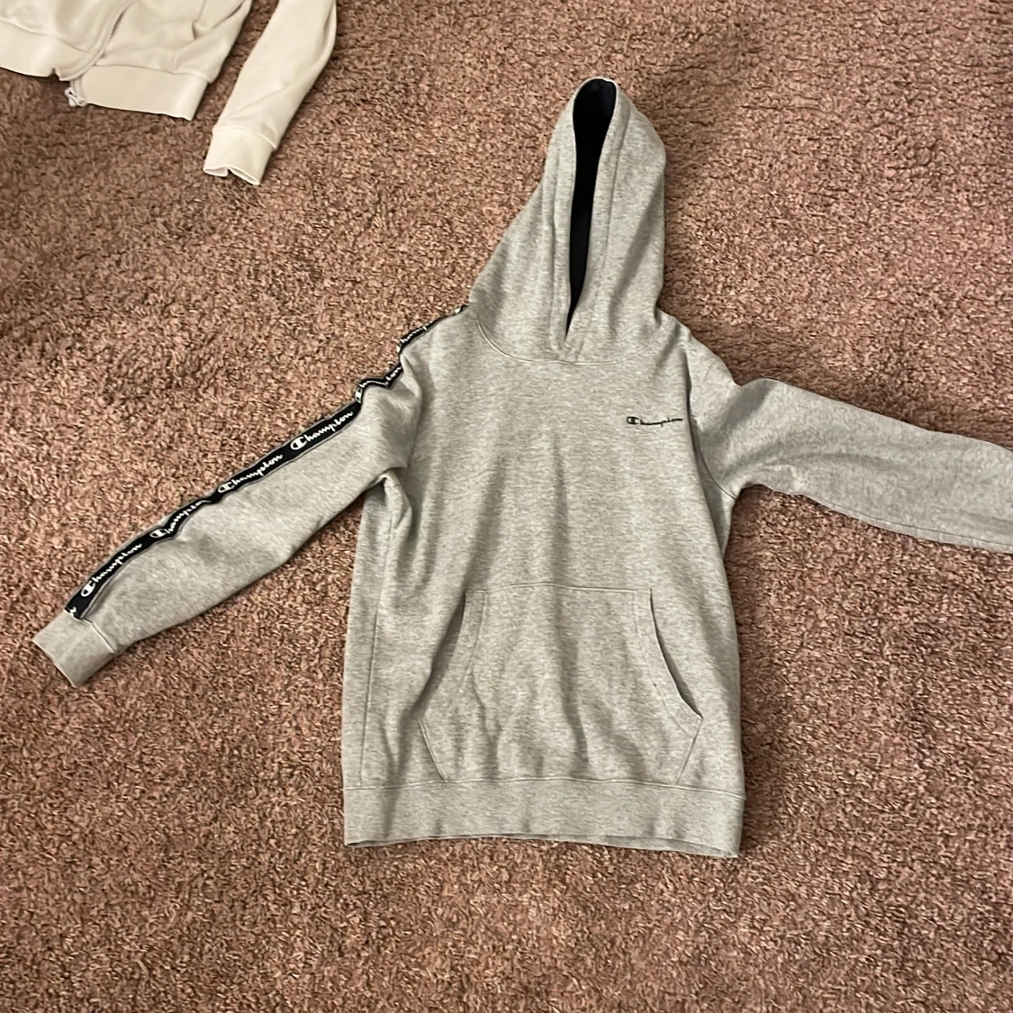 Champion hoodie