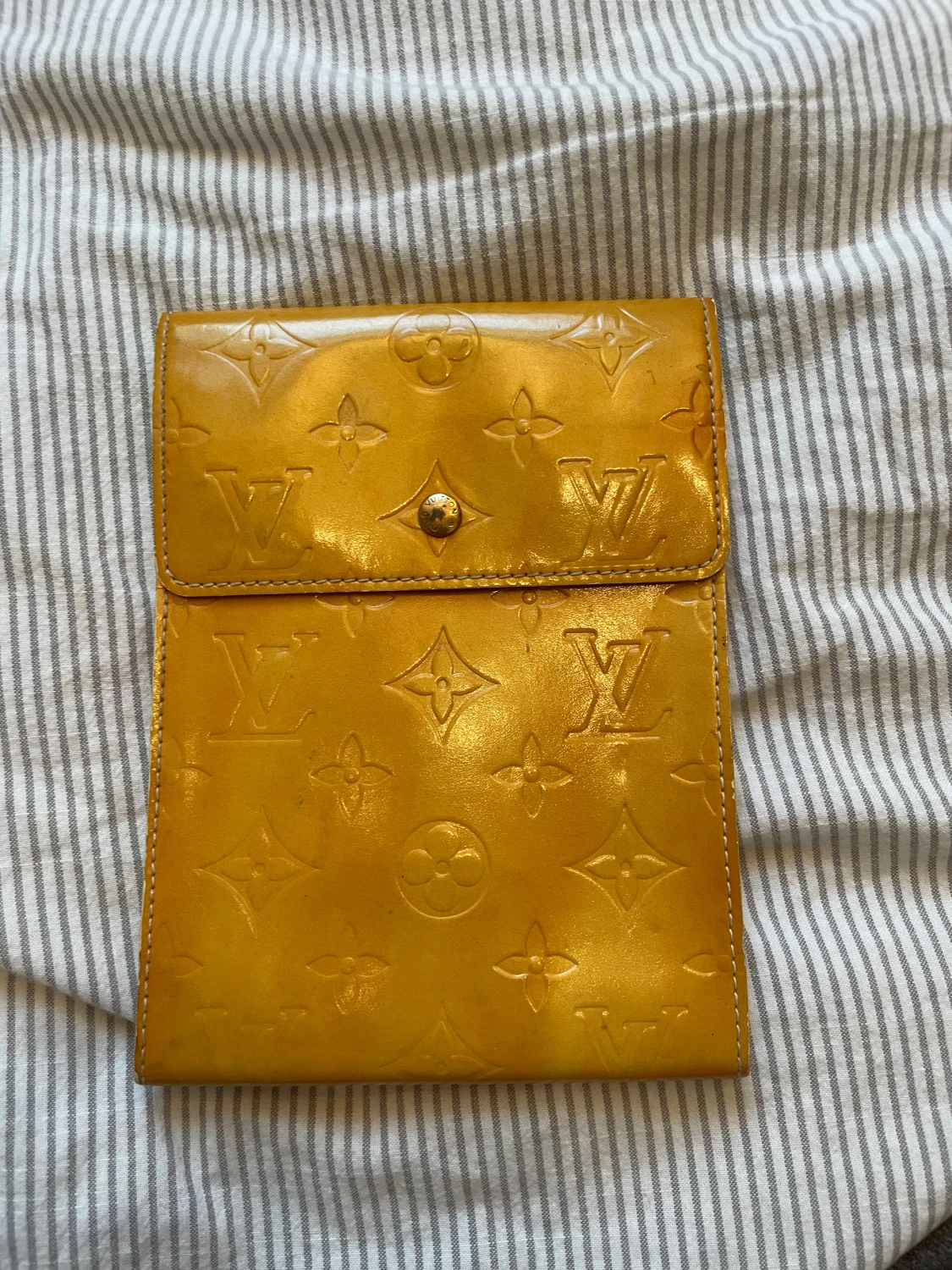 Louis Vuitton Pouch