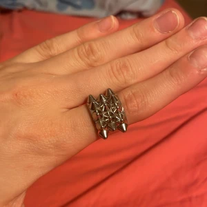 Edblad ring  - Fin ring använd lite priset kan diskuteras 