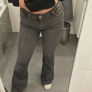 Gråa bootcut jeans - Gråa bootcut jeans från bershka. Storlek 36❤️‍🔥❤️‍🔥