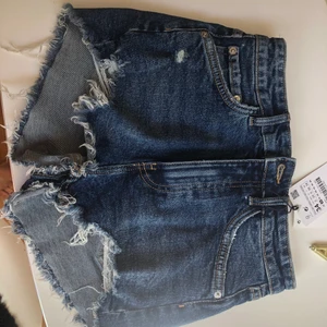 Zara shorts - Jätte fina Zara shorts som tyvärr var för små för mig, 90+48kr frakt