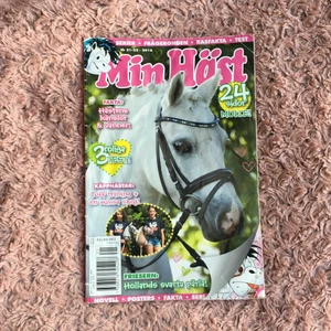 Hästtidning - Säljer en hästtidning för bara 10kr, hörnen är lite vikta men all text är läsbar, har läst den många gånger och tänker att det är dax att nån annan läser den. Tidningen innehåller lite fakta om hästar,serieberättelser,frågesporter och ett uppslag om hur du gör en käpphäst. 