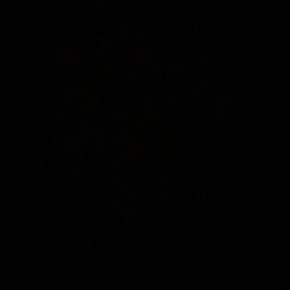 Brandy Melville kofta  - 91