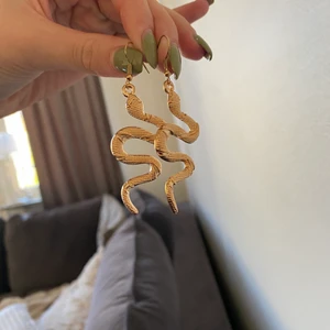 Örhängen  - Oanvända orm örhängen