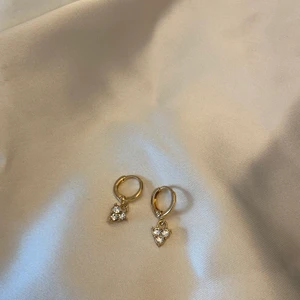 Örhängen oanvända - Oanvända 