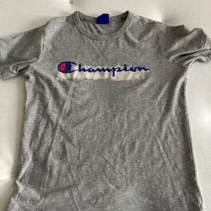 Grå champion tshirt - Grå T-shirt från champion. Använd men ändå i bra skick. Står i storlek L men är förmodligen i barnstolekar, skulle säga att den sitter som en S