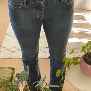 Ett par snygga lexington jeans i storlek 36/34 men passar även mindre. 