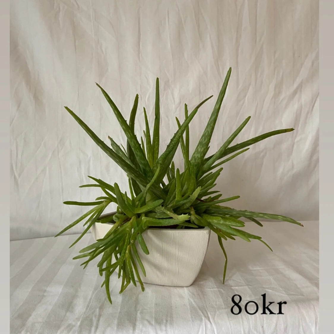 Triangel kruka đ€