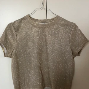 Glitter top - Så fin glittrig topp från Urban outfitters. Använd en gång🤎  storlek medium men passar s och xs också!!