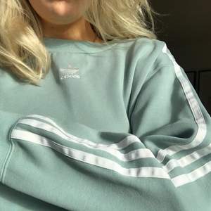 Skitcool adidas sweatshirt i en snygg blå/turkos färg. Storlek S men snyggt oversized. Har själv klippt av den själv då jag tyckte den var för lång innan. Färgen är som i första bilden. På andra bilden visar den sig lite mörkare..! Köptes för 599kr 