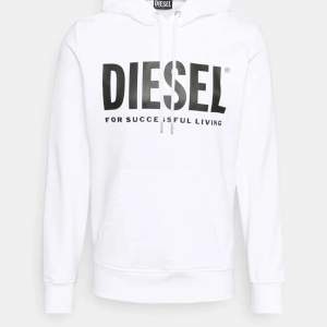 Diesel hoodie i stl M, är i färgen grå men fanns ingen bild. 500kr