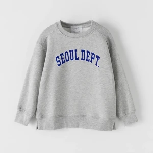 Zara tröja  - Sweatshirt från zara storlek 13-14 år men passar som en xs⭐️