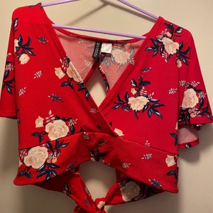 Röd topp h&m stlk L - Säljer en jättefin röd Topp med öppning i bak. Fint skick då den knappt är använd. Köparen står för frakt:)