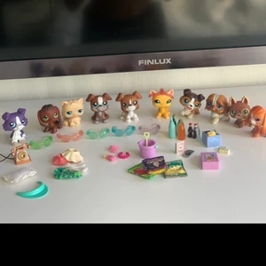 Pet shop - Shorthaircat är såld! Allt för bara 599kr + frakt!  Tveka inte på att höra av er vid intresse eller frågor! 