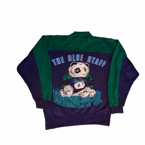 The blue staff - vintage sweatshirt - En väldigt fin grön och lila sweatshirt från ett amerikanskt college lag. Färgerna är perfekt för 80s eller en 90s stil men funkar även för en y2k stil! Köpt på en unik trifthstore i USA 