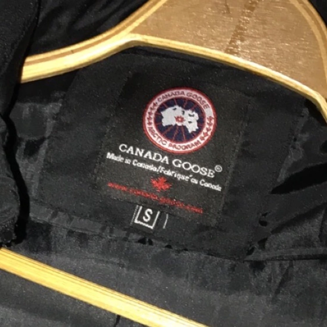 Kopia canada goose  - 91