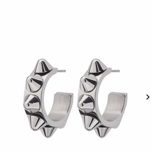 Edblad örhängen - Intressekoll på mina så fina edblad örhängen💕 De är väldigt populära och de är slutsålda, buda!!💕