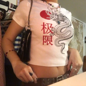 Topp strl M - Säljer denna jättesöta y2k inspirerade toppen med drakprint i strl M som även sitter bra som strl S och har stretchigt material. Endast använt den 1-2 gånger och säljs för att jag inte känner att den passar min stil❤️