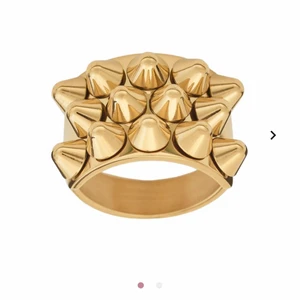 Edblad ring - Jättefin ring ifrån Edblad med nitar på!!🙌🏽🙌🏽🙌🏽 Aldrig använd och slutsåld på hemsidan. Passar perfekt på mitt pekfinger! !!Bud på 350kr!!