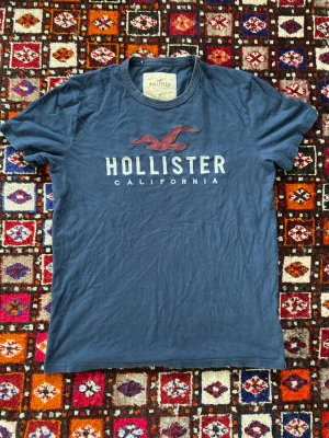 Archive Holister T-shirt  - Säljer en otroligt snygg och stilig Holister tröja! Den ser skrynklig ut eftersom den precis kom ut ur tvätten! Hör av dig vid frågor om pris osv!