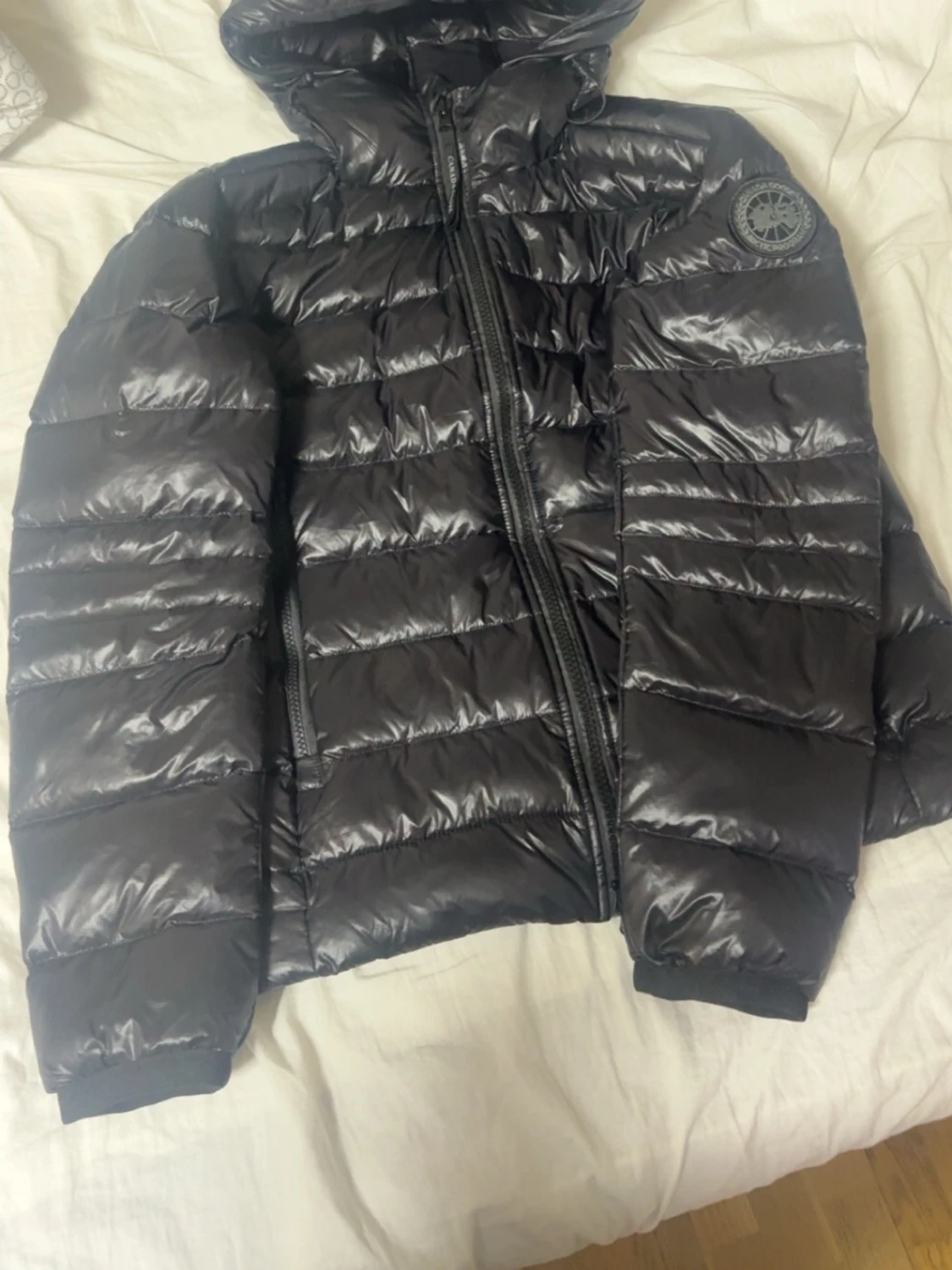 Canda goose crofton