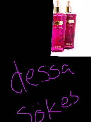 Söker dom här till billigt pris! - Skriv till mig om ni har dom gamla vs body misten från bilden 