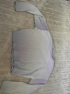 Ljuslila basic tröja - En enkel och stilren ljuslila tröja med rund hals och långa ärmar. Perfekt för dig som gillar minimalistisk stil och mjuka färger. Tröjan har en rak passform och är tillverkad i ett mjukt material som känns skönt mot huden.