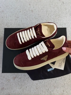 Prada sneakers  - Helt nya sneakers från Prada. Lådan samt dustbag medföljer.