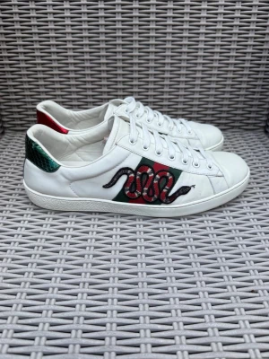 Gucci Ace Snake  - Gucci Ace Snake || Storlek 43 || Skorna är i mycket bra skick (se bilder) || Tveka inte på att höra av dig vid frågor eller funderingar 