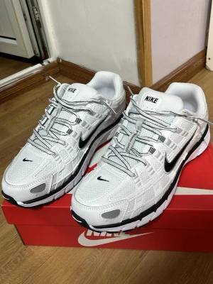 Nike p-6000  - Säljer ett par fräscha vita Nike sneakers. Skorna har mesh- och syntetpaneler för bra andningsförmåga och en chunky sula i vitt och svart. Klassisk snörning och sportig look som passar till streetwear.